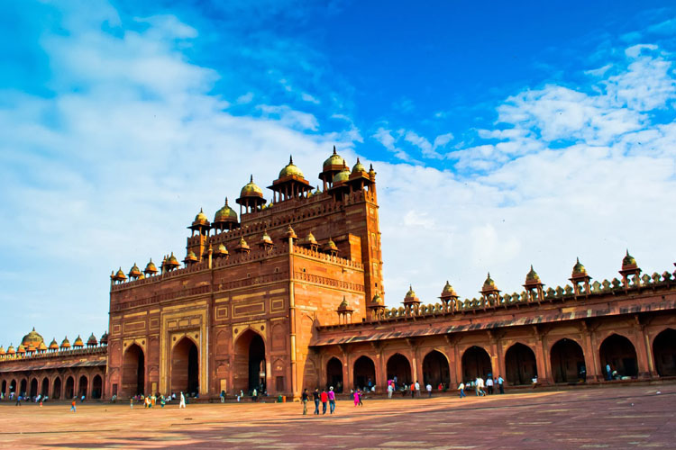 Book Tempo Traveller on Rent in Delhi